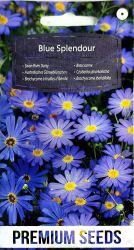 Swan River Daisy Blue Splendour Seeds